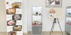 Expoziția „Magia Cristalelor – Flori de mină din Maramureș”, realizată în cadrul Muzeului de Mineralogie din Baia Mare, a fost vernisată în Foaierul Direcției pentru Cultură, Tineret și Sport Oltenița