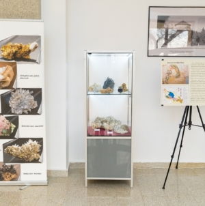 Expoziția „Magia Cristalelor – Flori de mină din Maramureș”, realizată în cadrul Muzeului de Mineralogie din Baia Mare, a fost vernisată în Foaierul Direcției pentru Cultură, Tineret și Sport Oltenița
