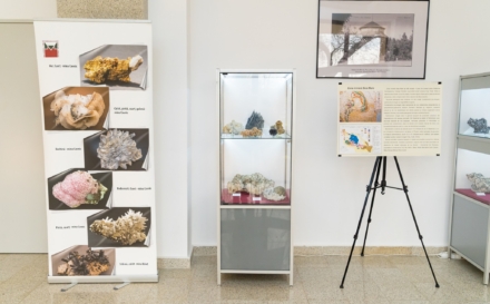Expoziția „Magia Cristalelor – Flori de mină din Maramureș”, realizată în cadrul Muzeului de Mineralogie din Baia Mare, a fost vernisată în Foaierul Direcției pentru Cultură, Tineret și Sport Oltenița