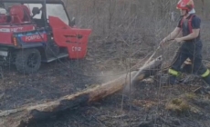 Incendiu de vegetație în apropiere de „Două veverițe”