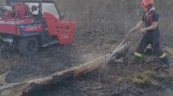 Incendiu de vegetație în apropiere de „Două veverițe”