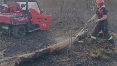 Incendiu de vegetație în apropiere de „Două veverițe”