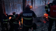 Incendiul de vegetație de pe Vârful Iricău a afectat trei hectare de teren