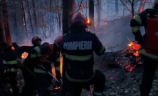 Incendiul de vegetație de pe Vârful Iricău a afectat trei hectare de teren