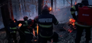 Incendiul de vegetație de pe Vârful Iricău a afectat trei hectare de teren