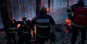 Incendiul de vegetație de pe Vârful Iricău a afectat trei hectare de teren
