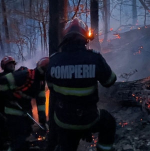Incendiul de vegetație de pe Vârful Iricău a afectat trei hectare de teren