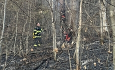 13 incendii de vegetație în patru zile în Maramureș