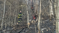 13 incendii de vegetație în patru zile în Maramureș