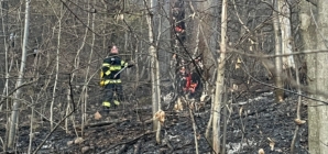 13 incendii de vegetație în patru zile în Maramureș