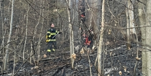 13 incendii de vegetație în patru zile în Maramureș