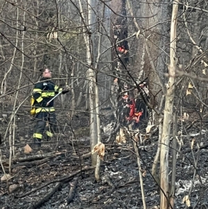 13 incendii de vegetație în patru zile în Maramureș