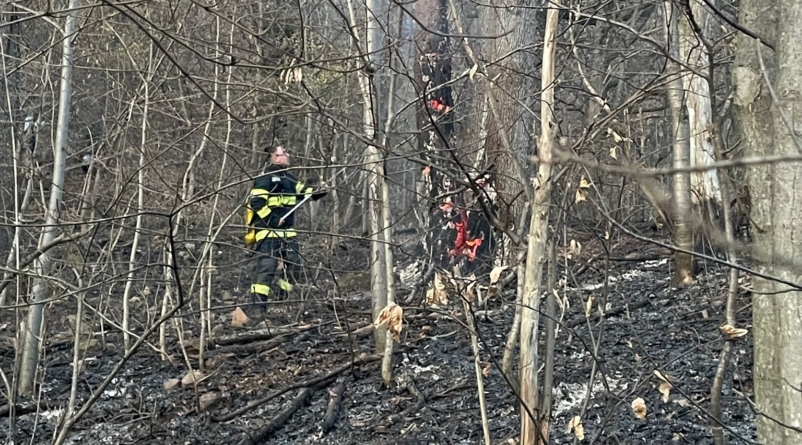 13 incendii de vegetație în patru zile în Maramureș