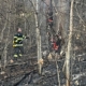 13 incendii de vegetație în patru zile în Maramureș