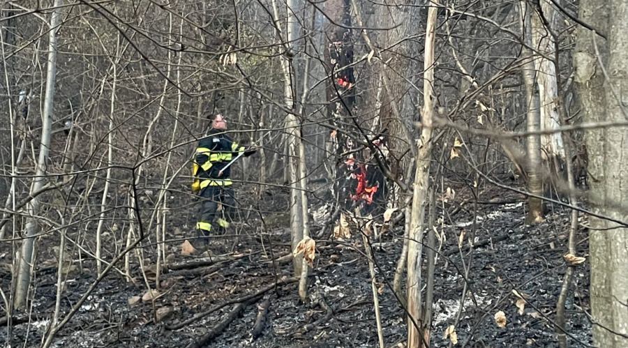 13 incendii de vegetație în patru zile în Maramureș