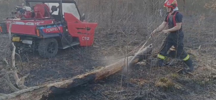 Incendiu de vegetație în apropiere de „Două veverițe”