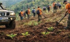 Acțiune de plantare de copaci organizată de Xtreme Adventure Baia Mare