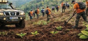 Acțiune de plantare de copaci organizată de Xtreme Adventure Baia Mare