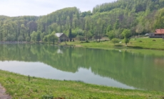 Lacul Nistru, populat cu crap înaintea concursului de pescuit din weekend