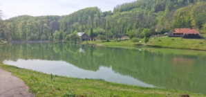 Lacul Nistru, populat cu crap înaintea concursului de pescuit din weekend