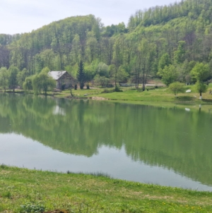 Lacul Nistru, populat cu crap înaintea concursului de pescuit din weekend