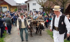 Celebrul obicei agrar „Udătoriul din Șurdești” va avea loc în a doua zi de Paști