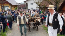 Celebrul obicei agrar „Udătoriul din Șurdești” va avea loc în a doua zi de Paști