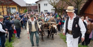 Celebrul obicei agrar „Udătoriul din Șurdești” va avea loc în a doua zi de Paști