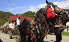 În Bistra are loc Festivalul obiceiurilor pastorale de primăvară „Mira la Huțuli”, ediția XXV