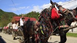 În Bistra are loc Festivalul obiceiurilor pastorale de primăvară „Mira la Huțuli”, ediția XXV