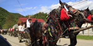 În Bistra are loc Festivalul obiceiurilor pastorale de primăvară „Mira la Huțuli”, ediția XXV