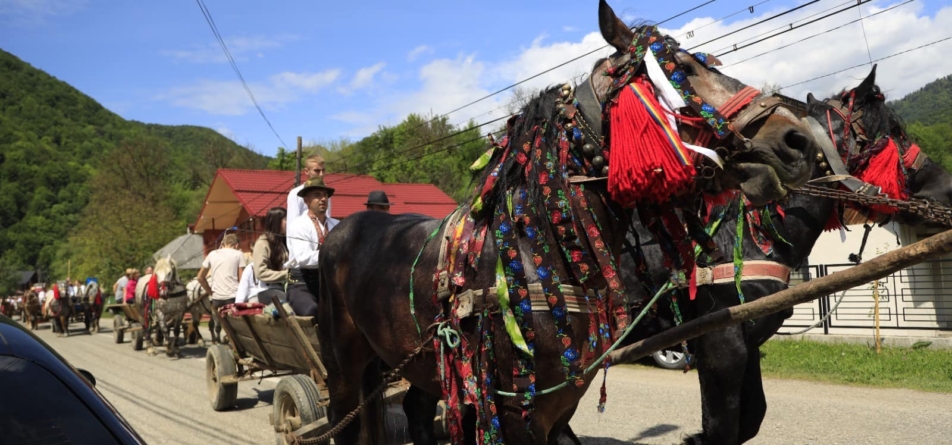În Bistra are loc Festivalul obiceiurilor pastorale de primăvară „Mira la Huțuli”, ediția XXV