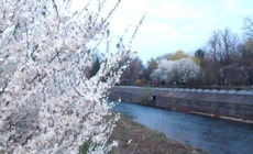 Prognoza meteo Maramureș, vineri 3 martie 2026