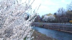 Prognoza meteo Maramureș, vineri 3 martie 2026