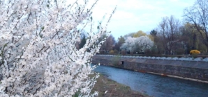 Prognoza meteo Maramureș, vineri 3 martie 2026