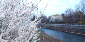 Prognoza meteo Maramureș, vineri 3 martie 2026