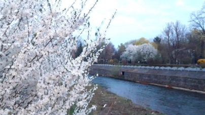 Prognoza meteo Maramureș, vineri 3 martie 2026