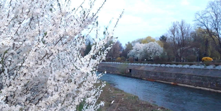 Prognoza meteo Maramureș, vineri 3 martie 2026