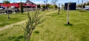 Prognoza meteo Maramureș, vineri 1 mai 2026