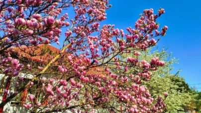 Prognoza meteo Maramureș, luni 13 aprilie 2026