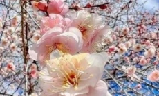 Prognoza meteo Maramureș, luni 6 aprilie 2026