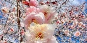 Prognoza meteo Maramureș, luni 6 aprilie 2026