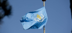 7 aprilie, ziua mondială a sănătății