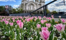 Prognoza meteo Maramureș, duminică 19 aprilie 2026