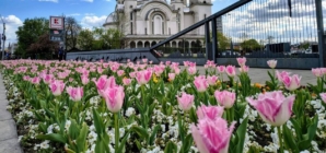 Prognoza meteo Maramureș, duminică 19 aprilie 2026