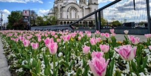 Prognoza meteo Maramureș, duminică 19 aprilie 2026