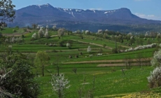 Ziua Pământului, o inițiativă globală dedicată mediului