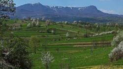 Ziua Pământului, o inițiativă globală dedicată mediului