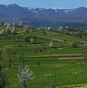 Ziua Pământului, o inițiativă globală dedicată mediului