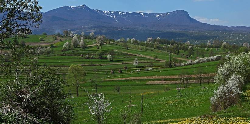 Ziua Pământului, o inițiativă globală dedicată mediului